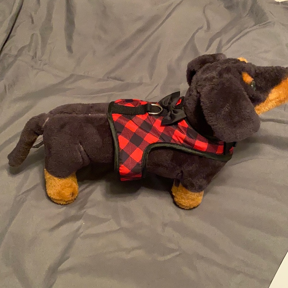 Dog Harness